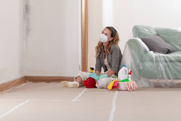 Reliable Mold Remediation contractor in Mineola, TX by WQB Mold Removal